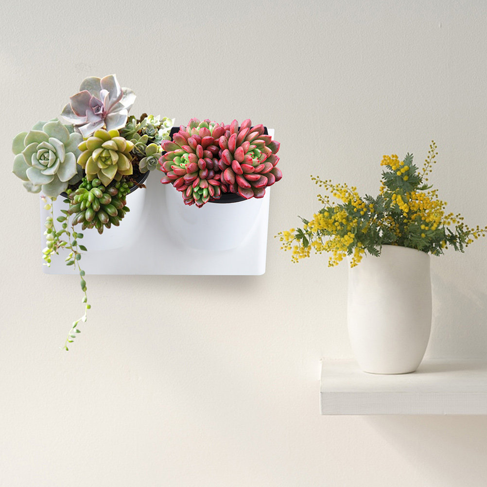 Succulent Planter Pot - Самополивной горшок для цветов из пластика,