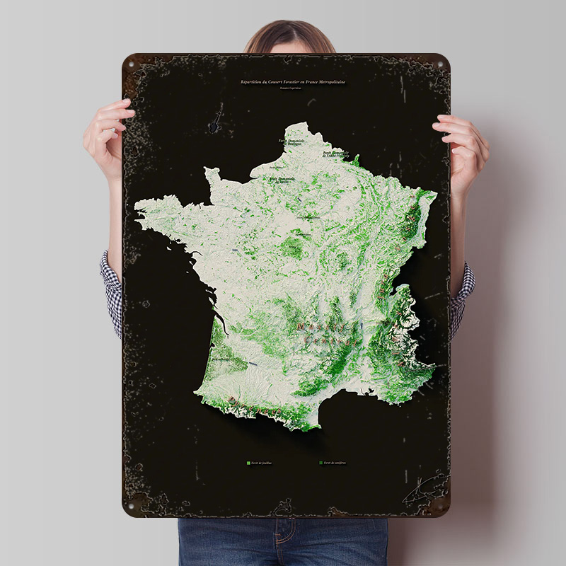 Home Decor Ai - Массифы Forestiers Fran? Плакат «ais», индивидуальный