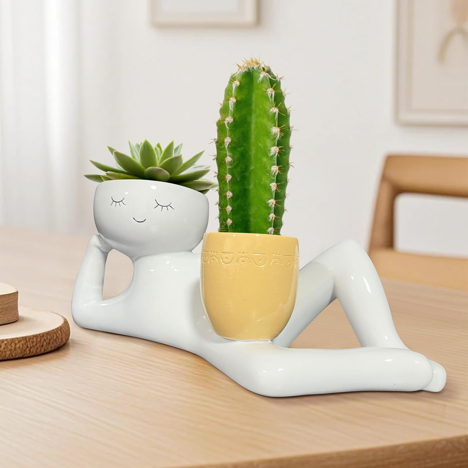 Уникальный кашпо «Ленивый малы – обзор и цена Succulent Planter Pot