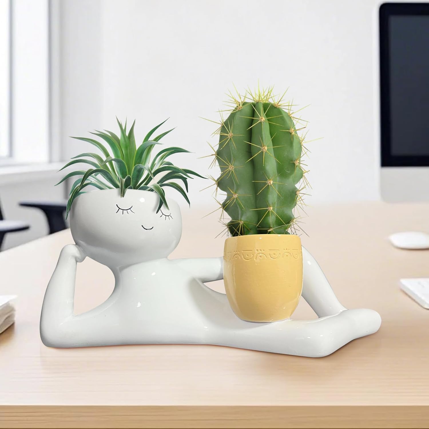 Уникальный кашпо «Ленивый малы – обзор и цена Succulent Planter Pot