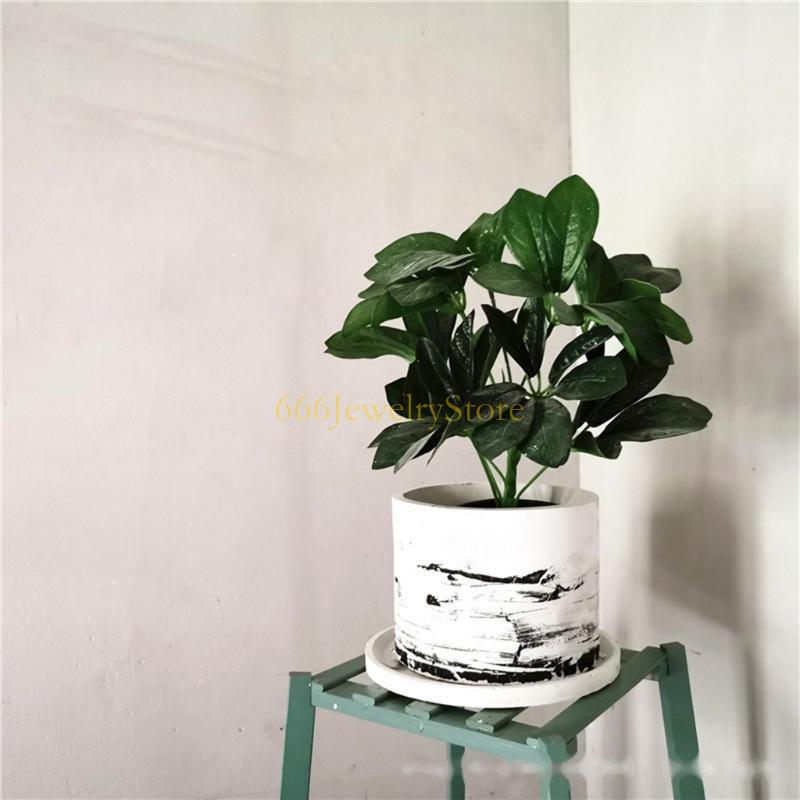 F2TD Большой круглый сочный пи – обзор и цена Succulent Planter Pot